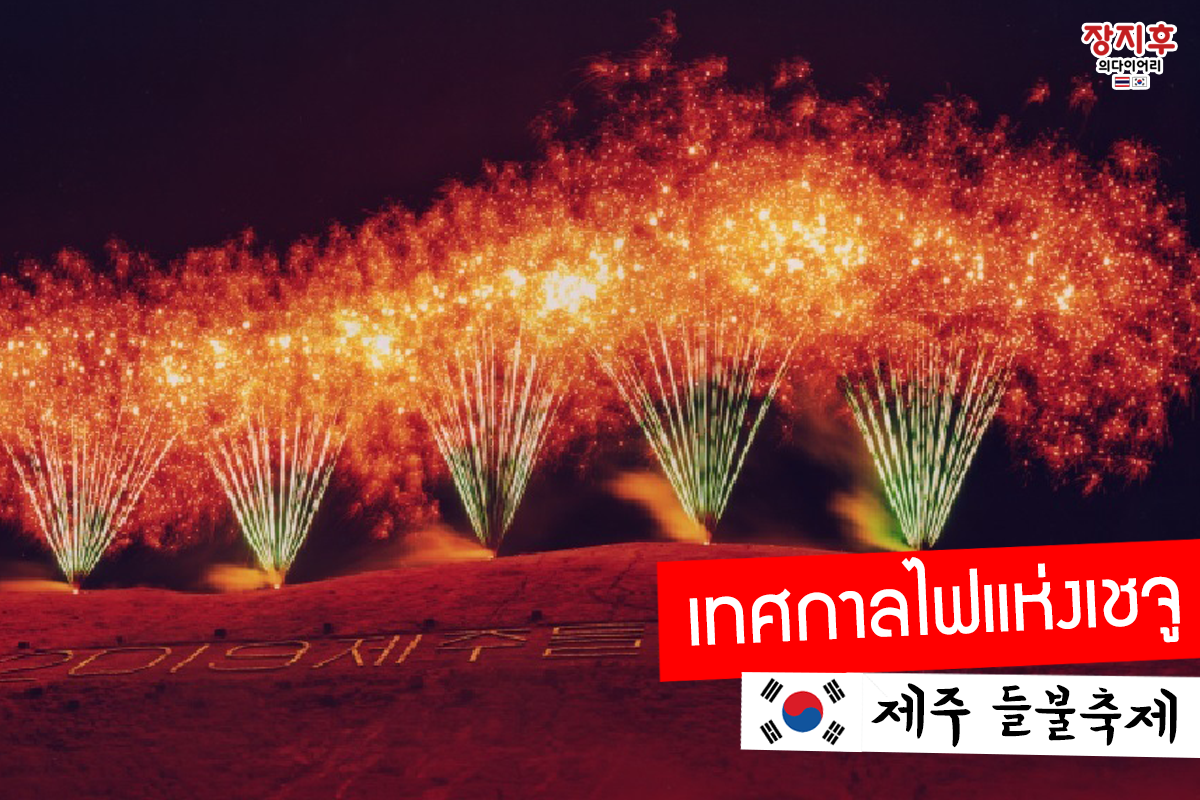 เทศกาลไฟแห่งเชจู Jeju Fire Festival (제주 들불축제)