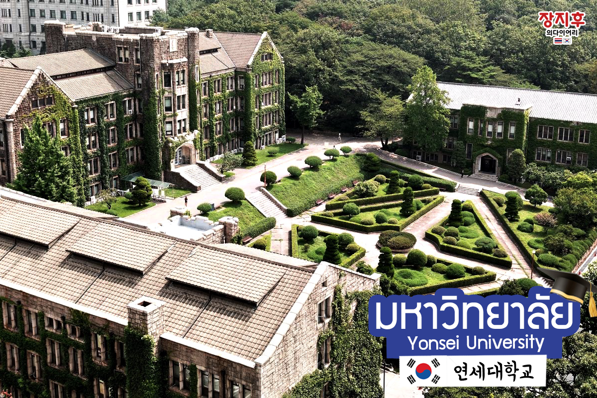 Yonsei University (연세대학교)