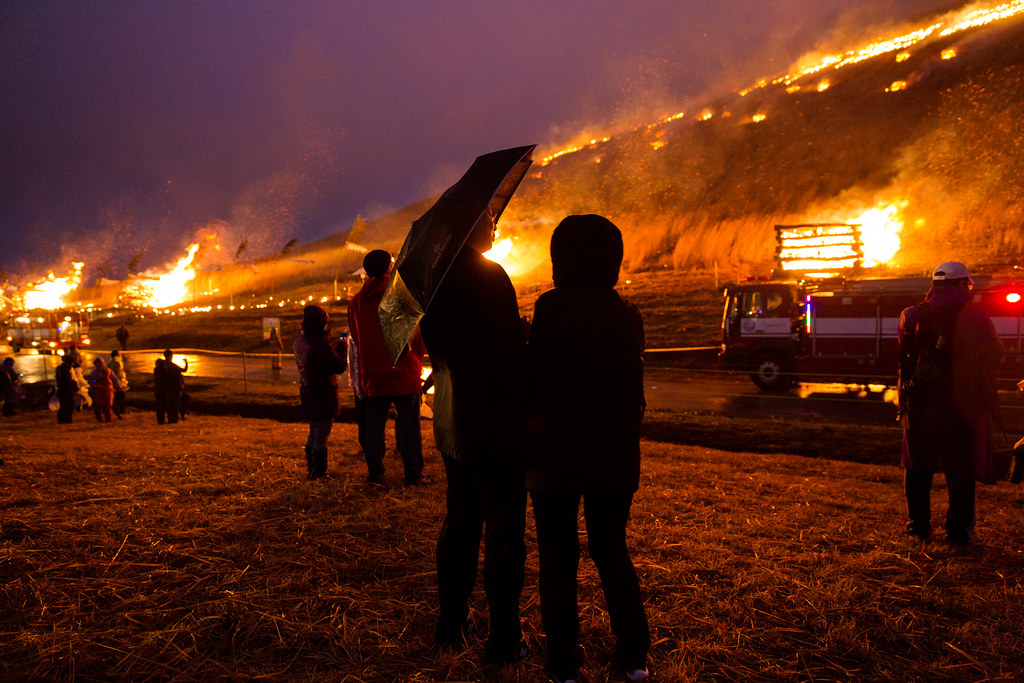 เทศกาลไฟแห่งเชจู Jeju Fire Festival (제주 들불축제)